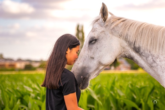 0A8A0434 Modifier Moyenne